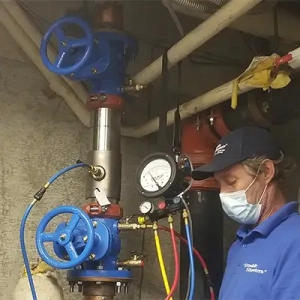 Double Check Valve Assembly (DVCA)